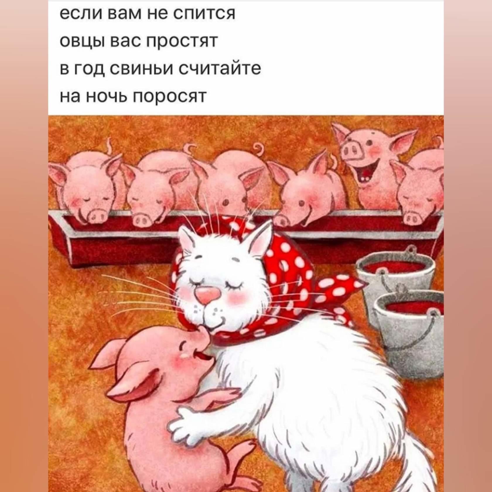 Кошка поросенок. Кот и поросенок. Открытки свинья и кот. Синие коты поросята. Открытки котик и поросенок.